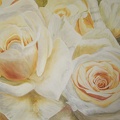 Rosen Acryl 50x70 