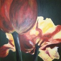 Tulpen1 Acryl 50x50