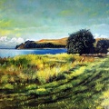 Boddenlandschaft Großzicker