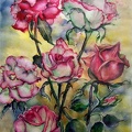 Sieben Rosenblüten