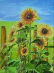 Sonnenblumen am Zaun, Öl, 40x30,  2014
