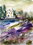 Lavendel in der Toskana