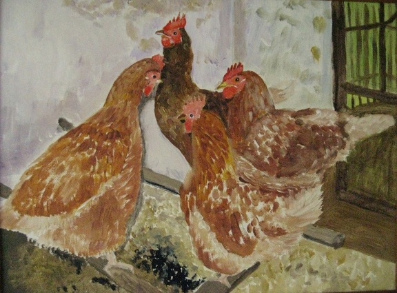 gemalte Bilder495 6.16 2 Unsere alten Hühner