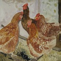 gemalte Bilder495 6.16 2 Unsere alten Hühner