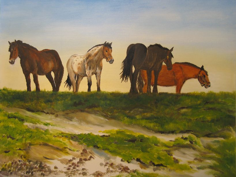 Pferde auf Hiddensee Acryl 50x70 2010